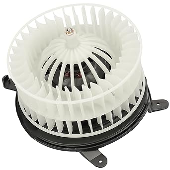 IRONTEK 2208203142 HVAC Blower Motor Motor Fan Cage 2000-2006 Mercedes-Benz CL500 S430 S500 2001-2006 CL600 S600 S600 2005-2006 CL65 AMG, 6 S350 S650 S65 S65 S65 AMG 2209060100 615-58 615-58 526