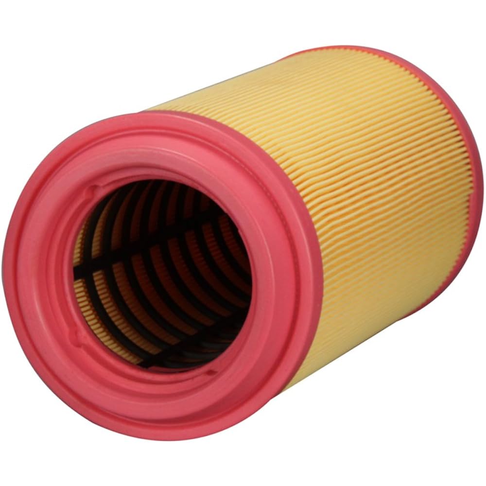 ECOGARD XA10308 Premium Engine Air Filter Lamb Pro Master 2500 3.6L 2014-2020, PROMASTER 1500 3.6L 2014-2020, PROMASTER 3500 3.6L 2014-2020