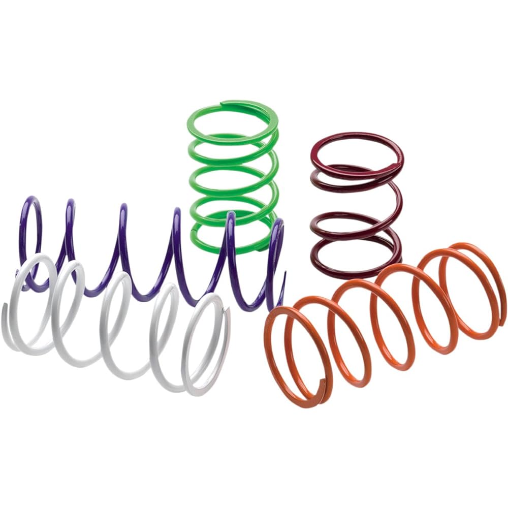 EPI ERLANDSON Clutch Spring Purple YDS6