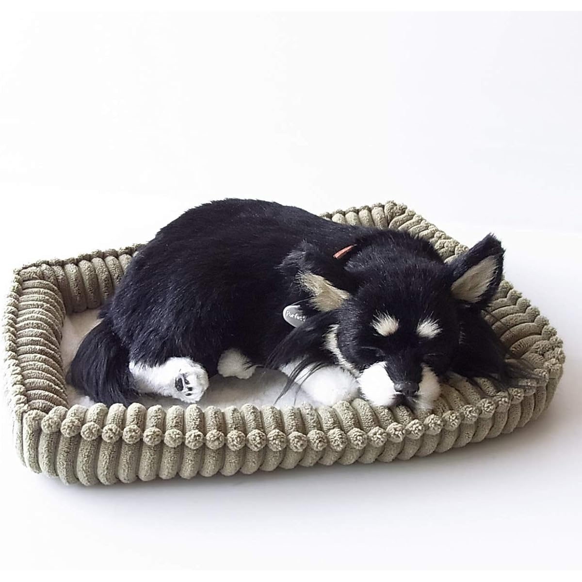 Nini and Kino Perfect Pet (Small Size) Chihuahua Long (Black Tan) Stuffed Toy Dog Dog Realistic Just Like the Real Miscellaneous Goods Animal Healing Moving Present Gift Celebration Cute Dog Stuffed Toy