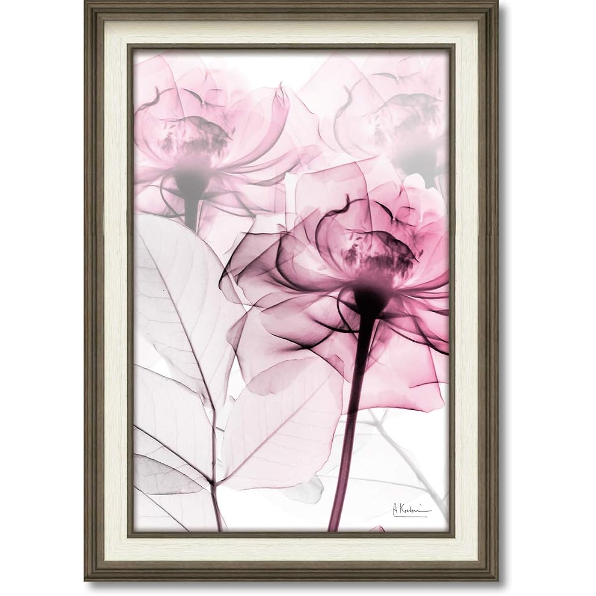 U-Power Art Frame/Still Life Multi Weight: Approx. 1.5kg X-RAY Canvas Art XR-12012