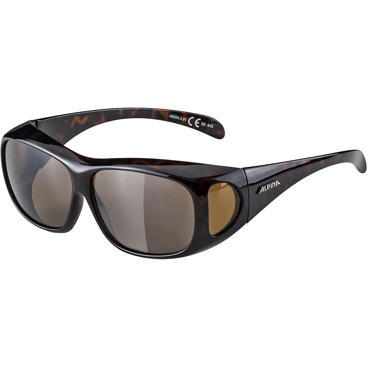 ALPINA OVERVIEW polarized lens sunglasses