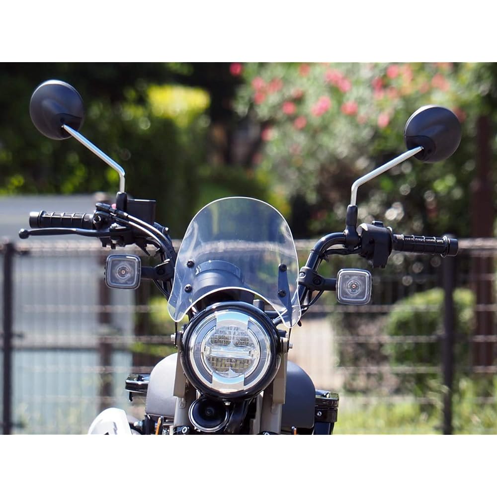 World Walk CT125 Hunter Cub meter visor clear ws-34c