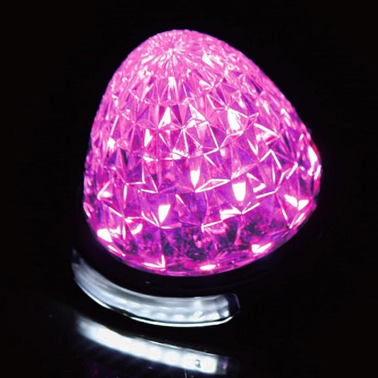 16 LED bus marker lamps for 12-24V, with 8 downlights SMD, pink, set of 10