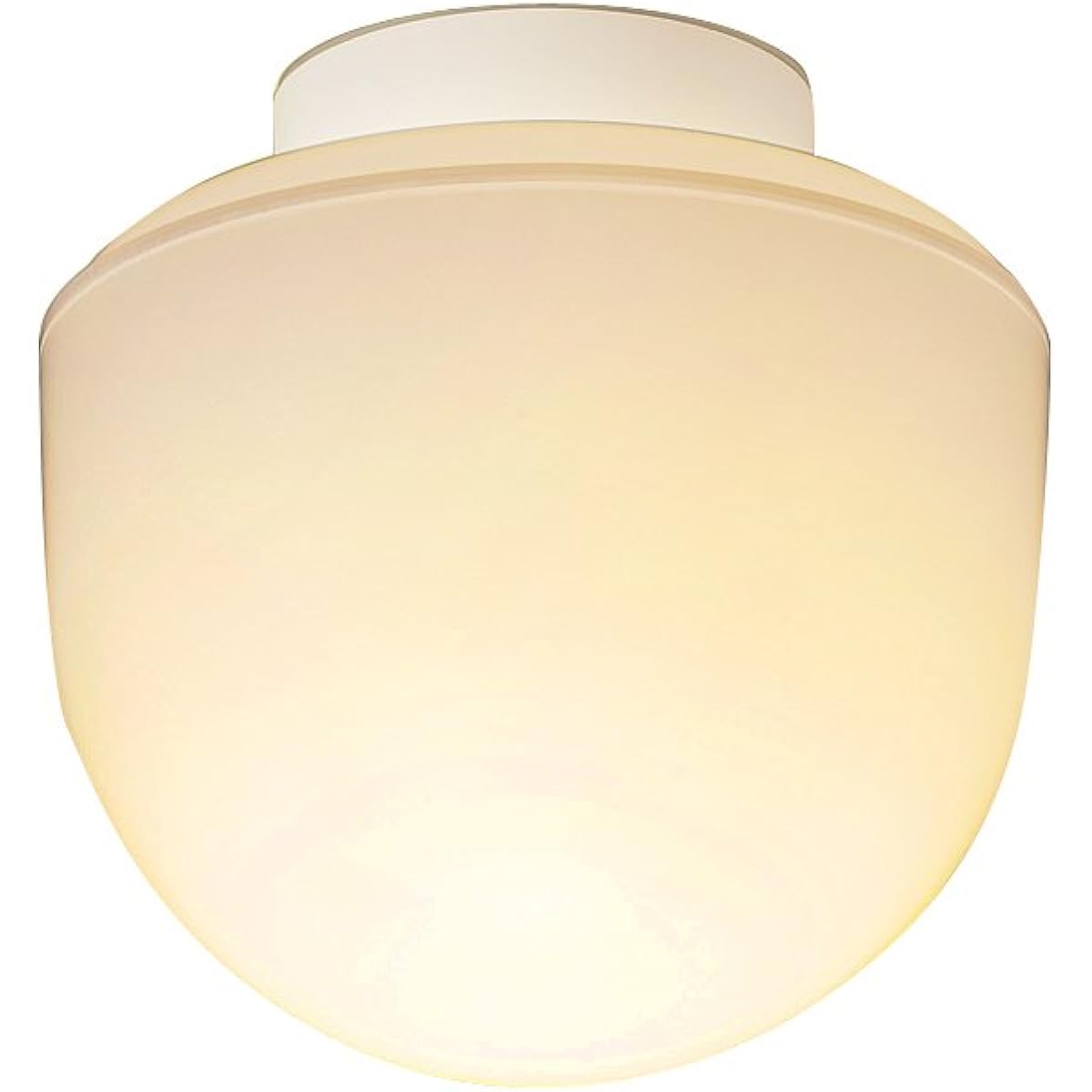 Panasonic LED ceiling light bathroom light moisture-proof type HH-SB0021L