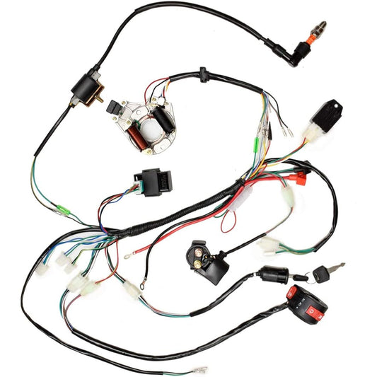 Complete Electric Stator Coil CDI Wiring Harness Rectifier Solenoid Relay 50cc 70cc 110cc 125cc Kazuma Taokandi 4 Wheel Vehicle China ATV Quad