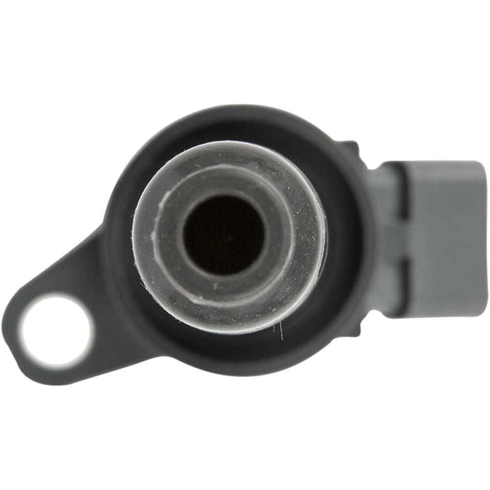 Delphi GN10366 Pencil Luinition Coil