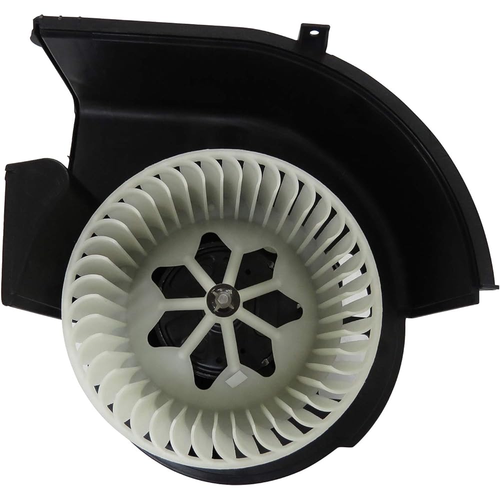 TYC 700292 BMW Replacement Blower Acemburi Compatible, 1 pack