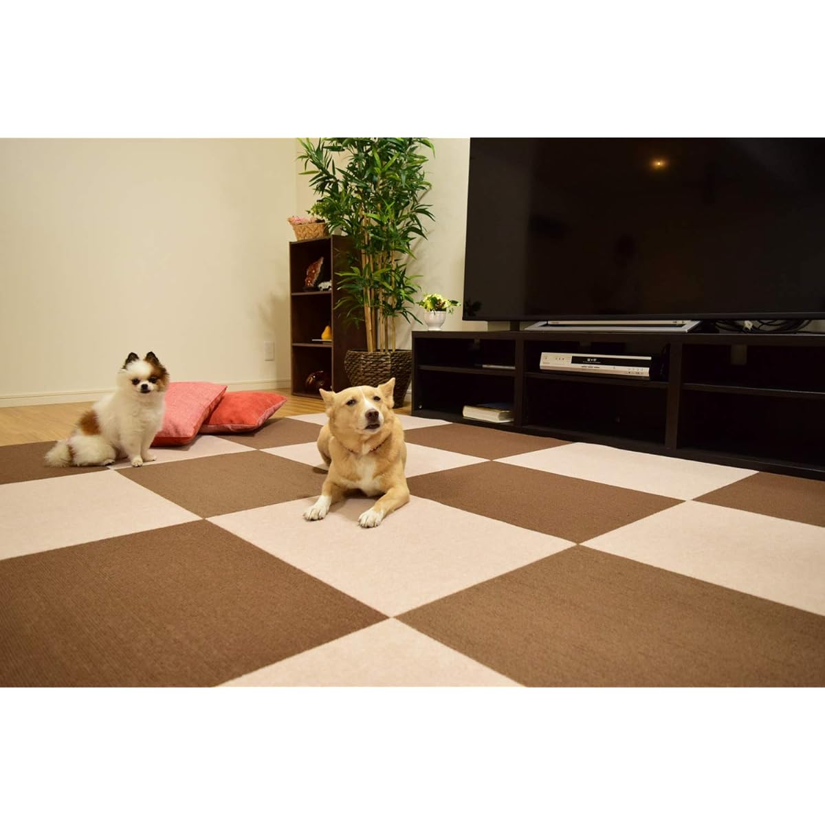 Large type for 6 tatami mats, water-repellent adsorption tile mat, 60cm x 45cm, set of 36, light beige, water-repellent, washable