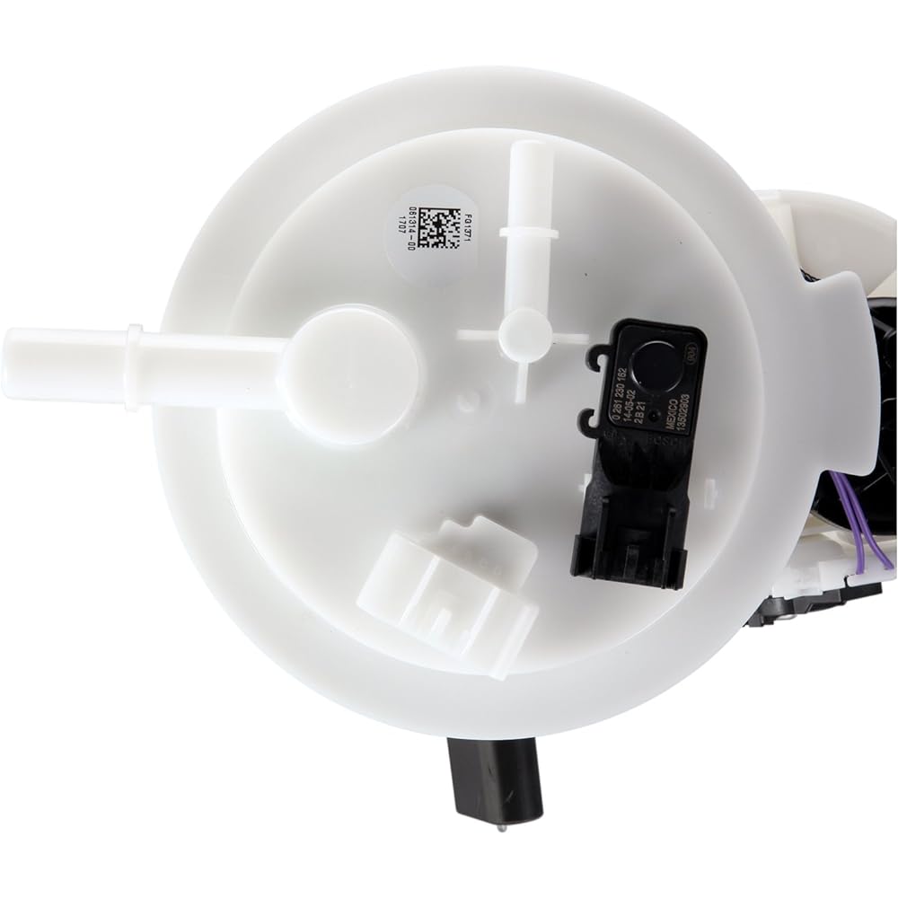 Delphi FG1371 fuel module