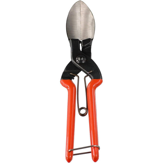 Pumpkin harvesting shears "Kabochan" can easily cut even hard stems! Convenient for cutting the roots of garlic and onions SUWADA