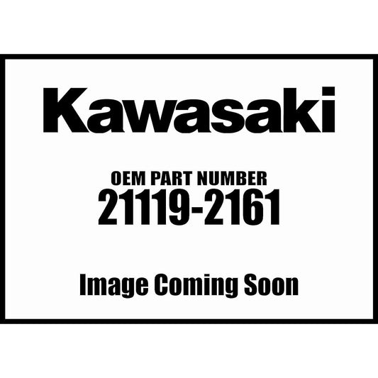 Kawasaki Genuine There's No Way 21119 – 2161
