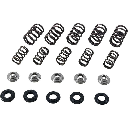 Valve Spring Kit rptr660