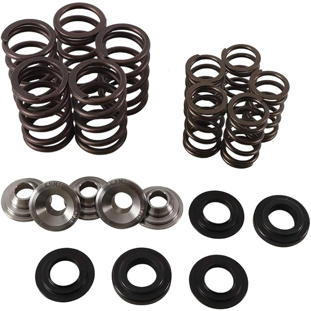 Valve Spring Kit rptr660