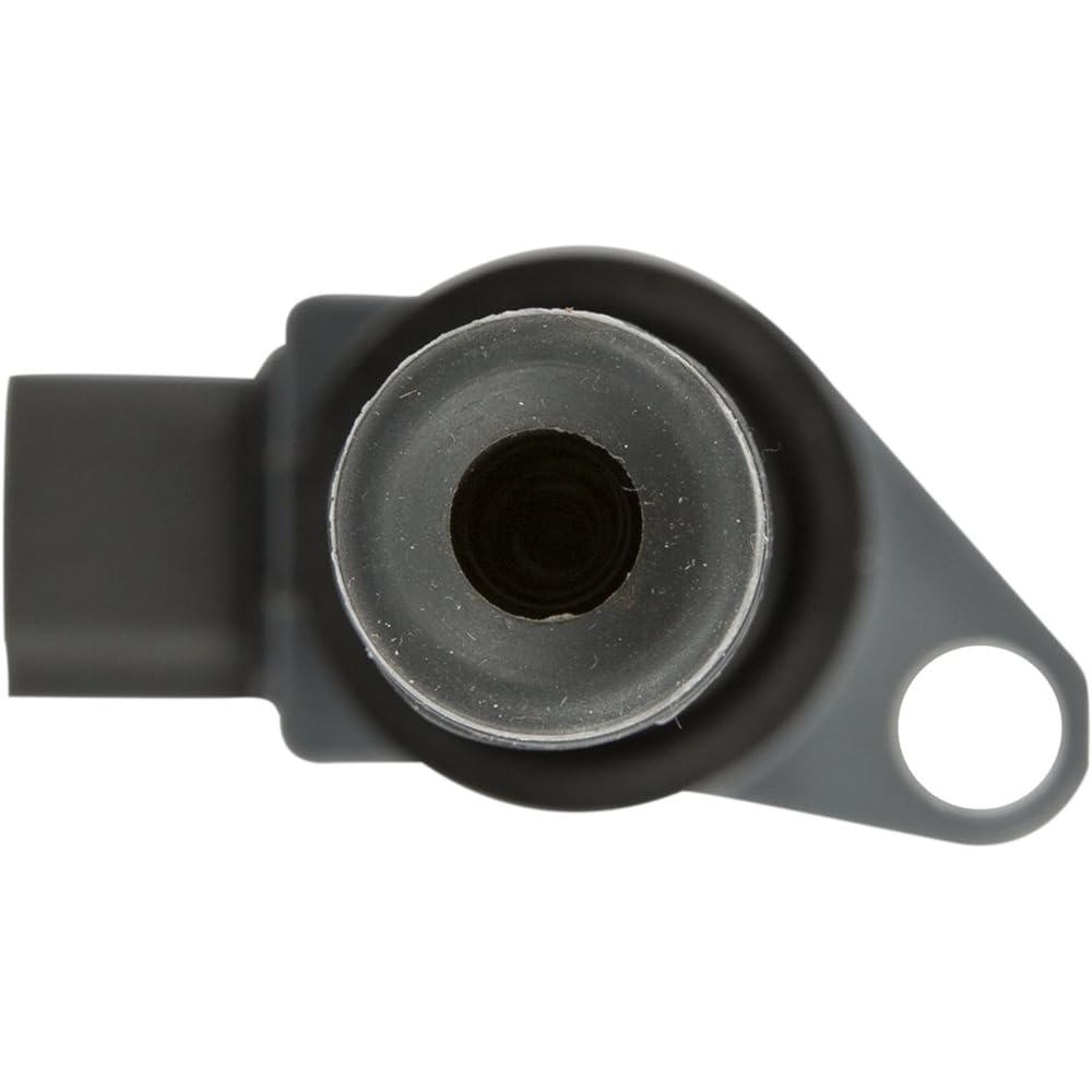 Delphi GN10370 Pencil Luinition Coil