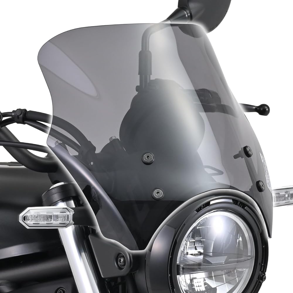 Daytona Motorcycle Screen Eliminator (24) Blast Barrier Smoke 42156