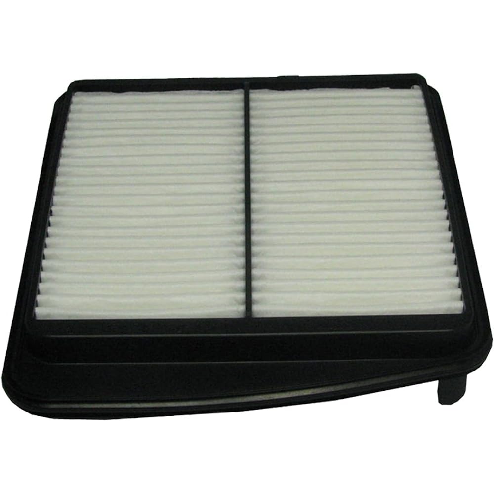 ECOGARD XA4729 Air filter