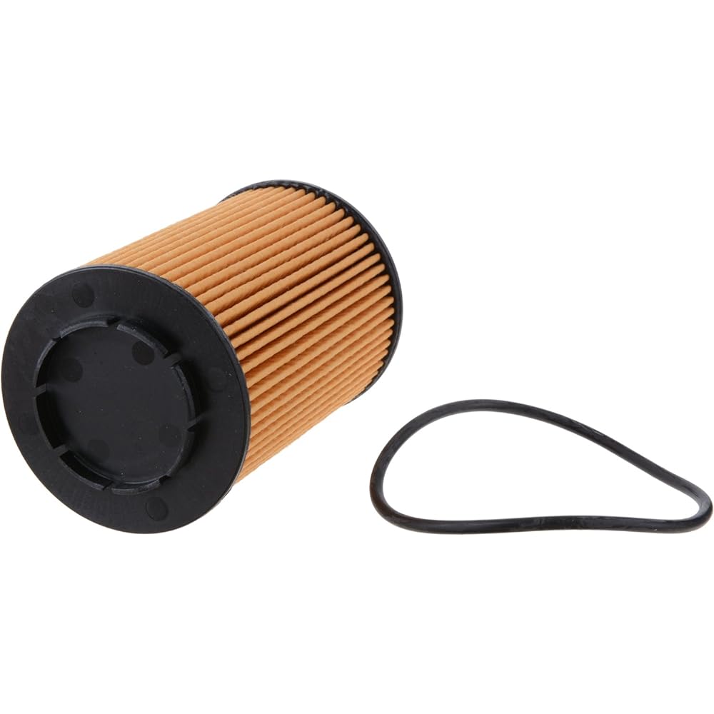 FRAM Extra Guard CH11794 10K Mile Change Arena Filter