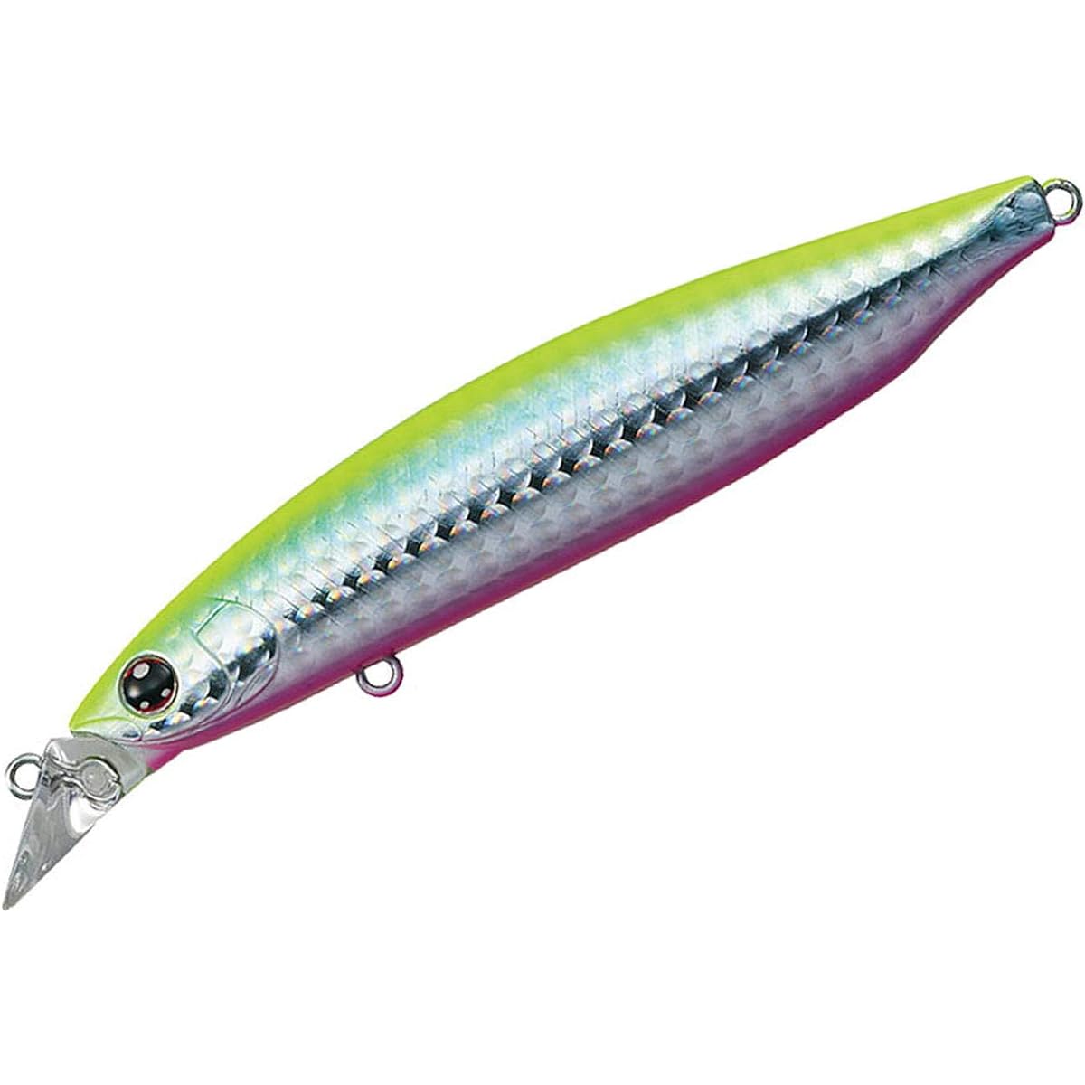 Daiwa Shoreline Shiner Z Vertis R 98F