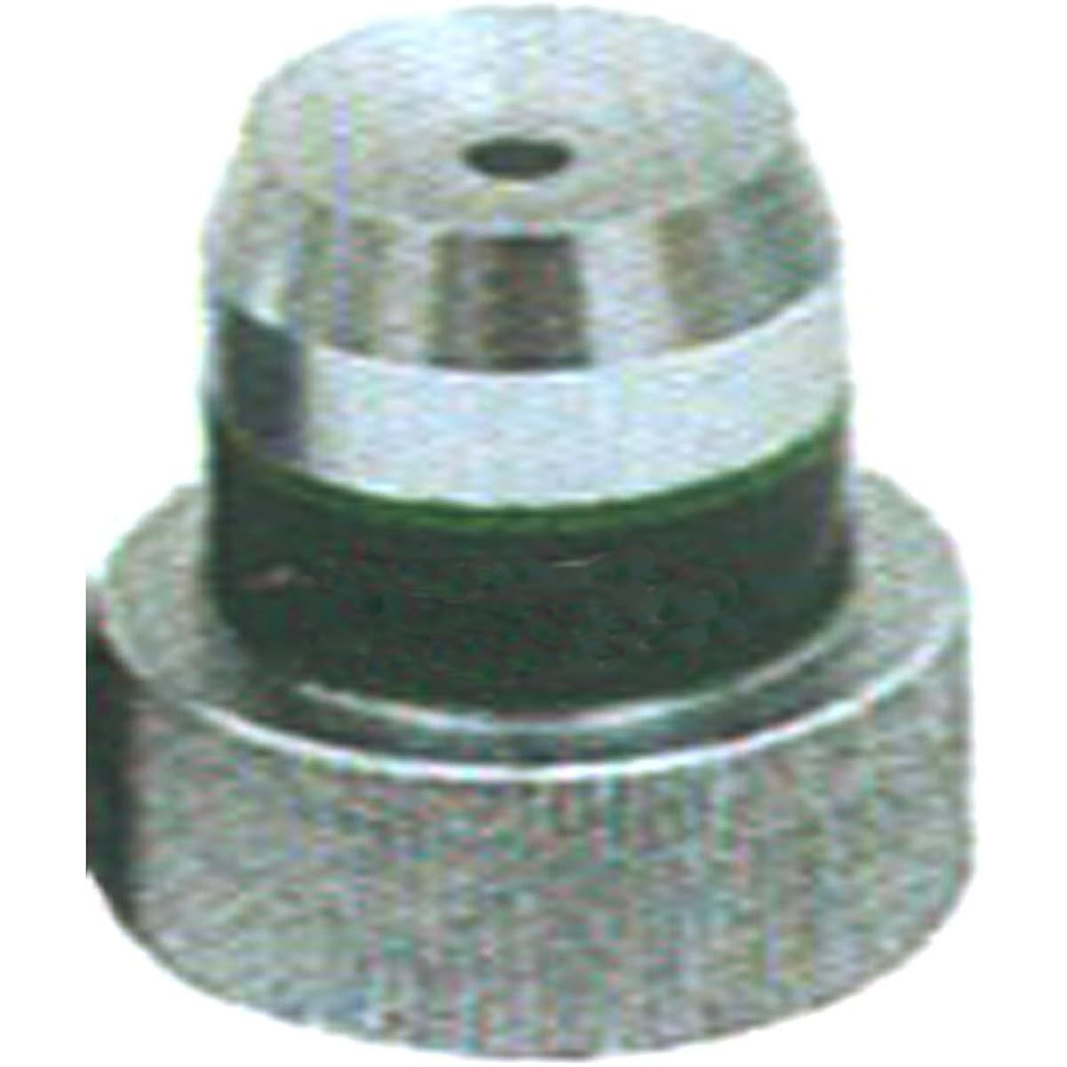 Iwasaki Seisakusho Flexible Watering Nozzle Mist Shower for JZ MIST Shower PAT. Spout Only 05JZMSTS40A