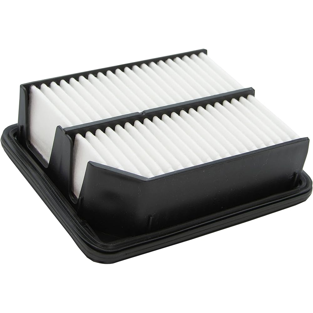 ECOGARD XA10221 Filter