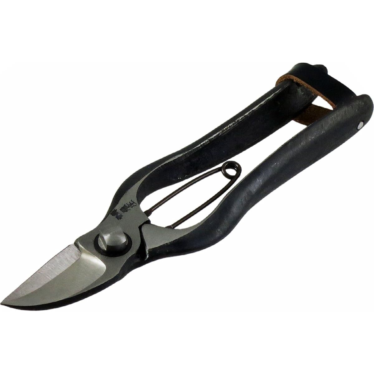 Hiizuka Scissors Hijo Pumpkin Cutting Scissors 200mm