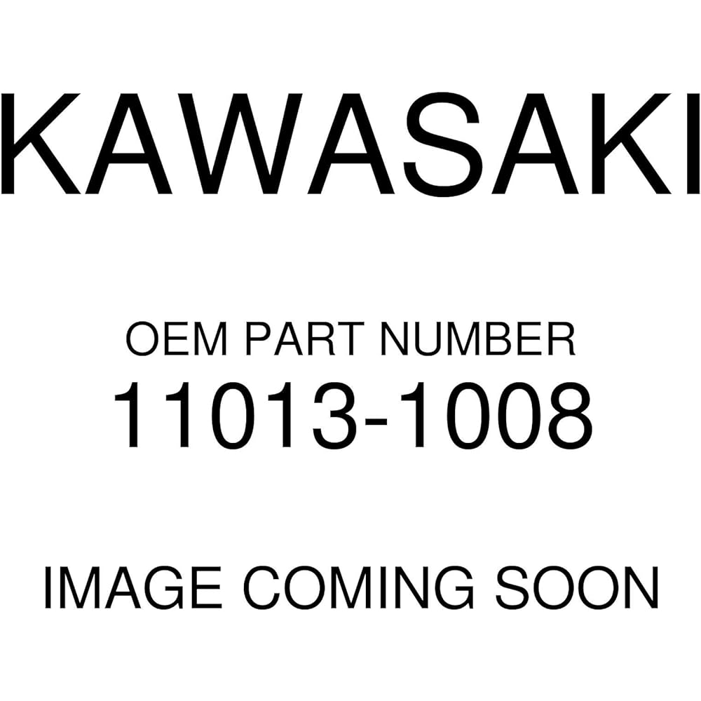 Kawasaki Genuine Element Air Filter 11013 – 1008