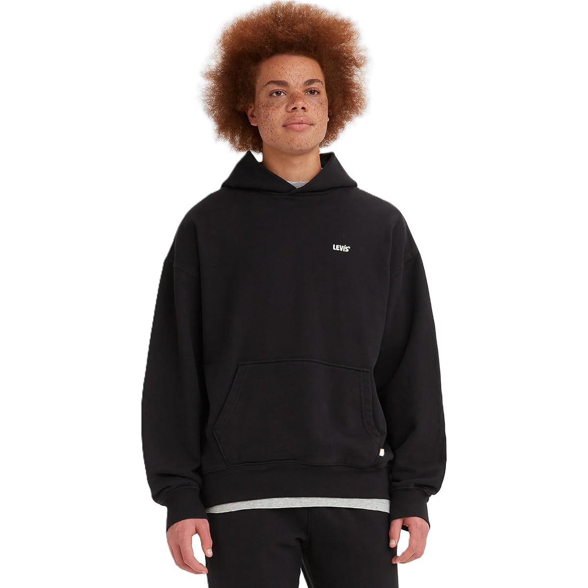 [Levi's] Hoodie GOLD TAB(TM) Logo Pullover Long Sleeve Men's