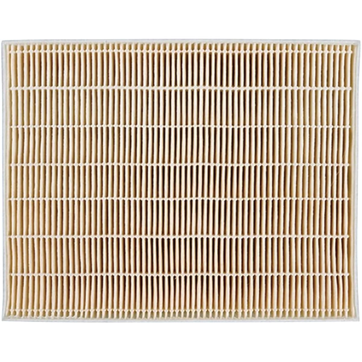 Panasonic Replacement Microparticle Filter FY-FDD2519AC