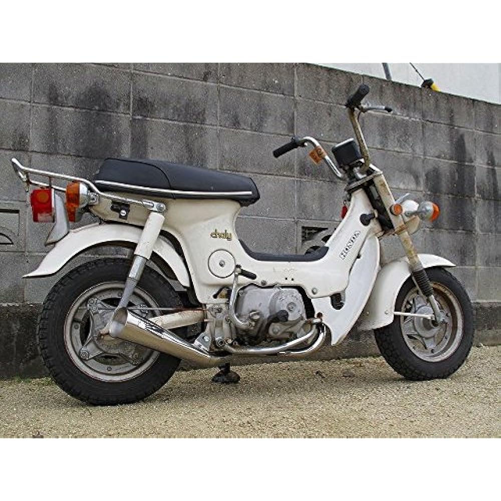 Megaphone Muffler for Shary/Type 2
