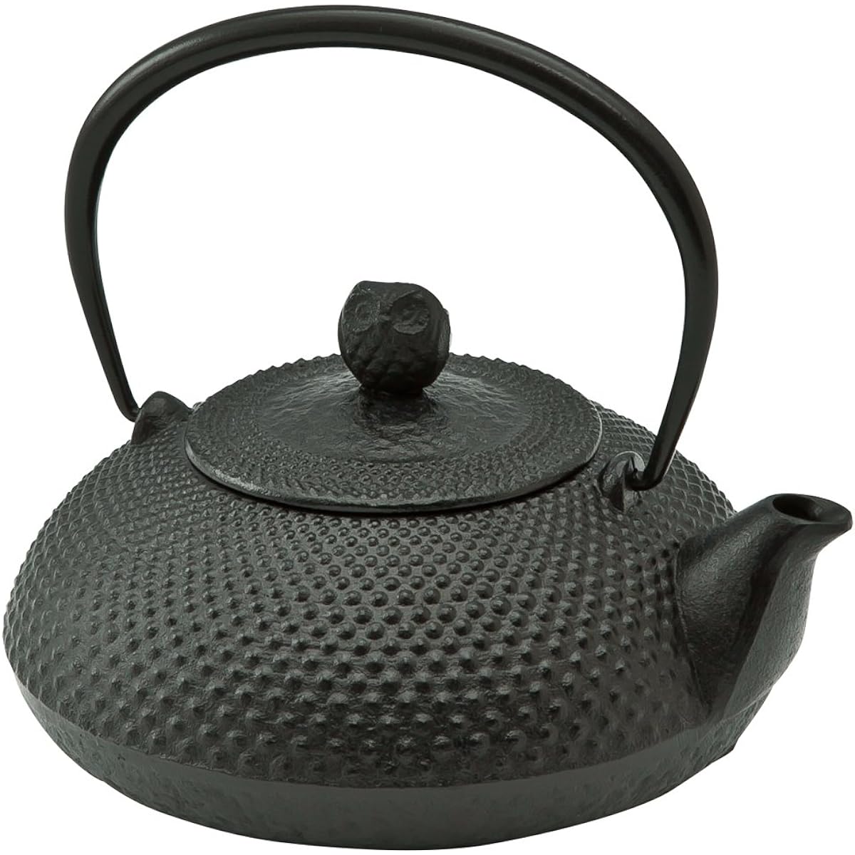 Ikenaga Tekko Nambu Ironware Iron Kettle Made in Japan Kettle 0.6L Tea Container Iron Replenishment Hoju
