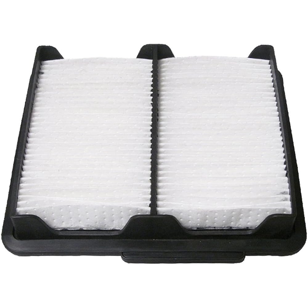 ECOGARD XA6139 Air filter