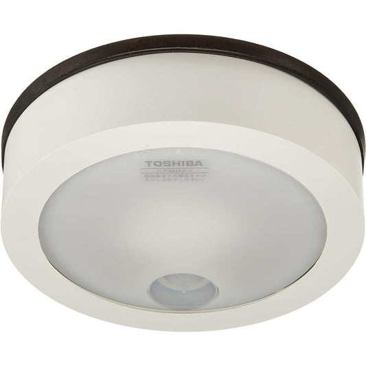Toshiba Lighting Technology LED Integrated Outdoor Ceiling Light Under Eave With ON/OFF Sensor Daylight White 60W Pure White