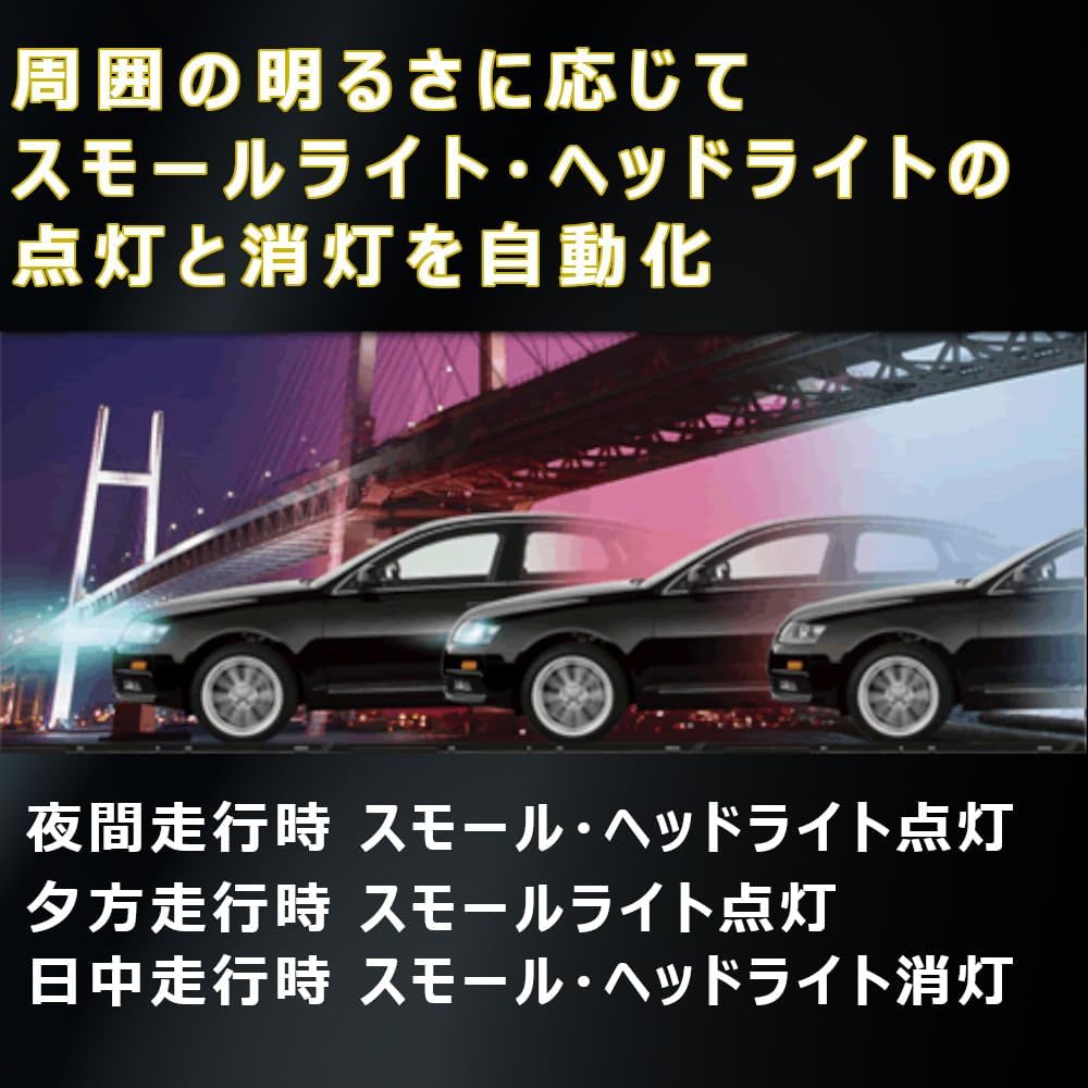 Light Crew Daihatsu Vehicle Exclusive Type