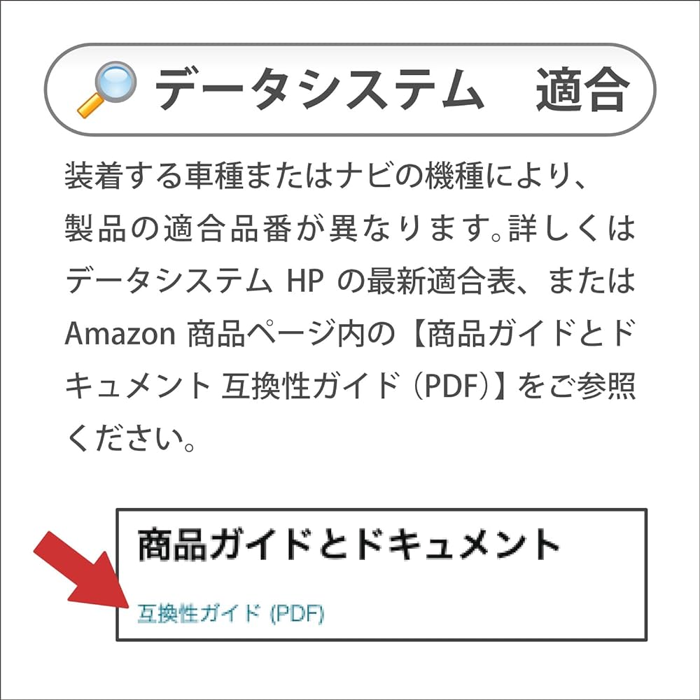 Data system Twin View-KIT (RCA110T + RCH001T set) RCS111T Datasystem