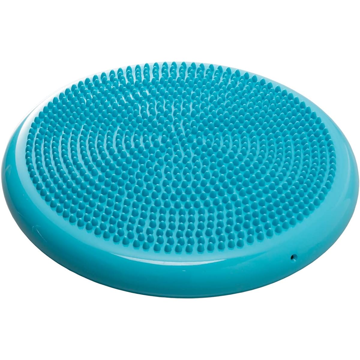 LINDSPORTS Balance Cushion with Pump