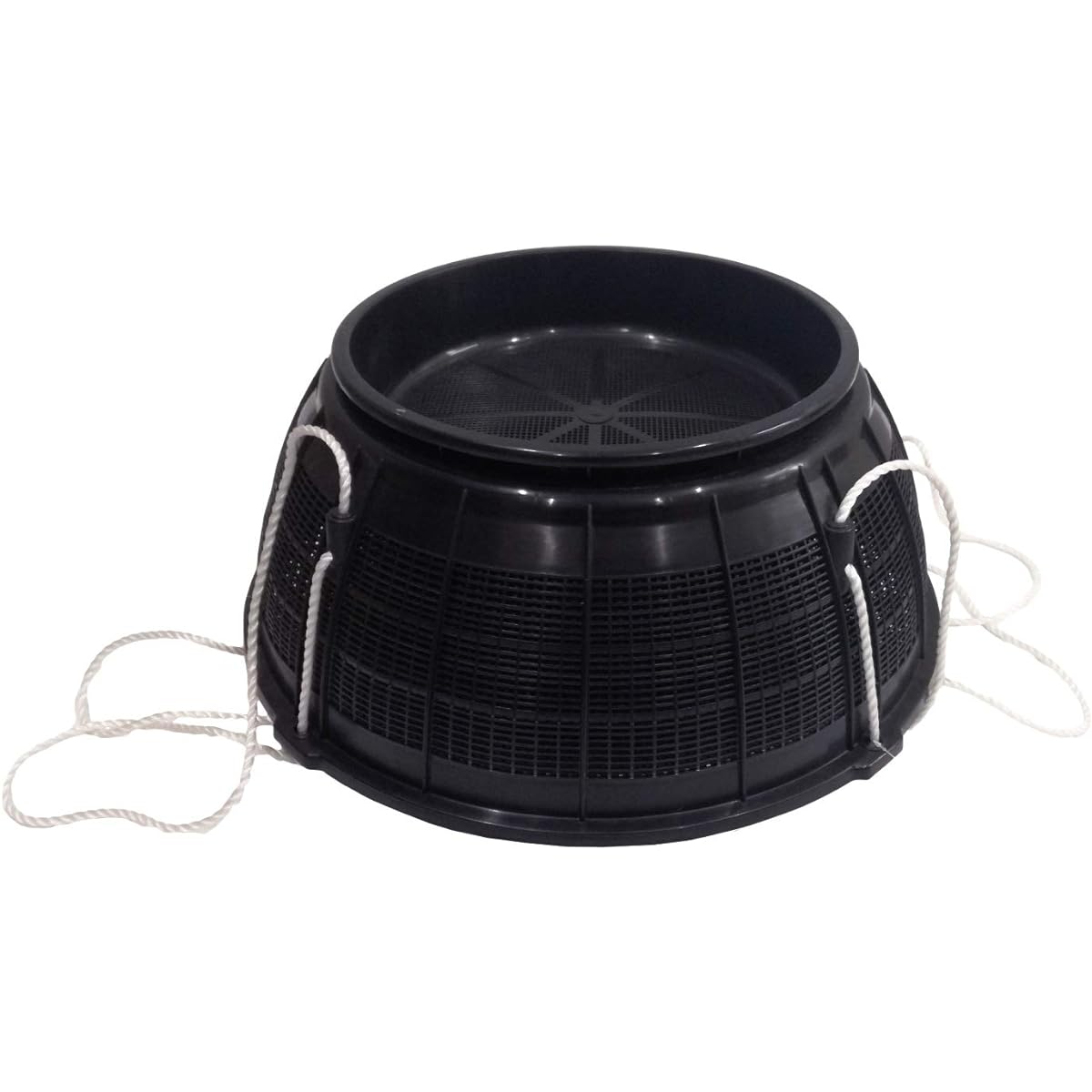 Alive (Alive) Round basket large KMY040