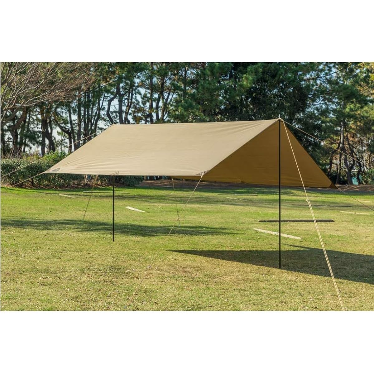 TARAS BOULBA Recta Tarp AL 320X300