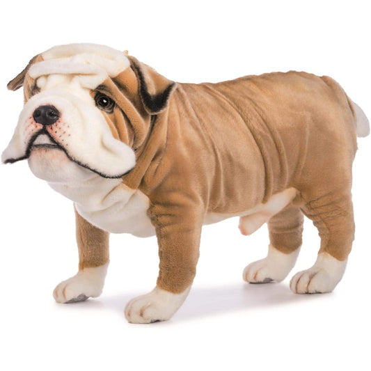 British Bulldog No.5626