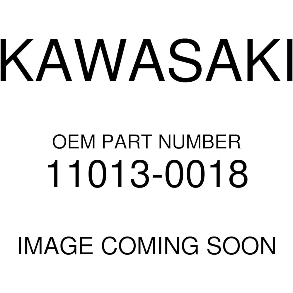 Kawasaki genuine TERYX 750 Air filter 11013-0018