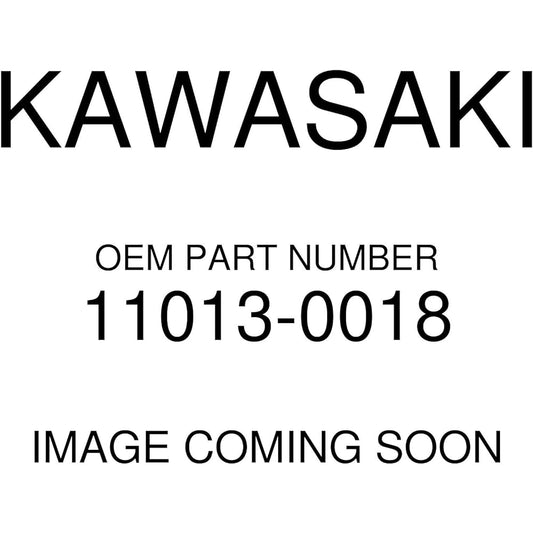 Kawasaki genuine TERYX 750 Air filter 11013-0018