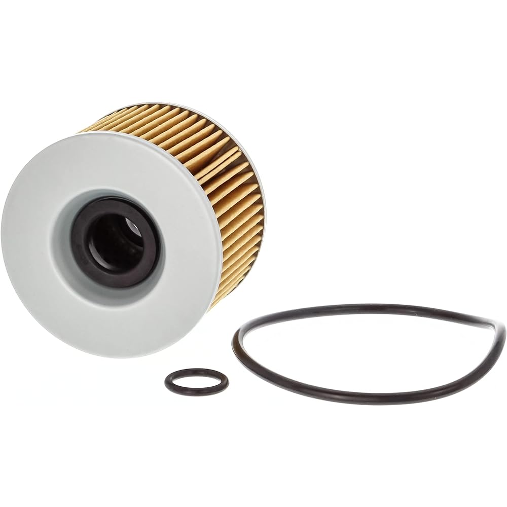 Fram CH6006 Oil Filter for Motorcycle