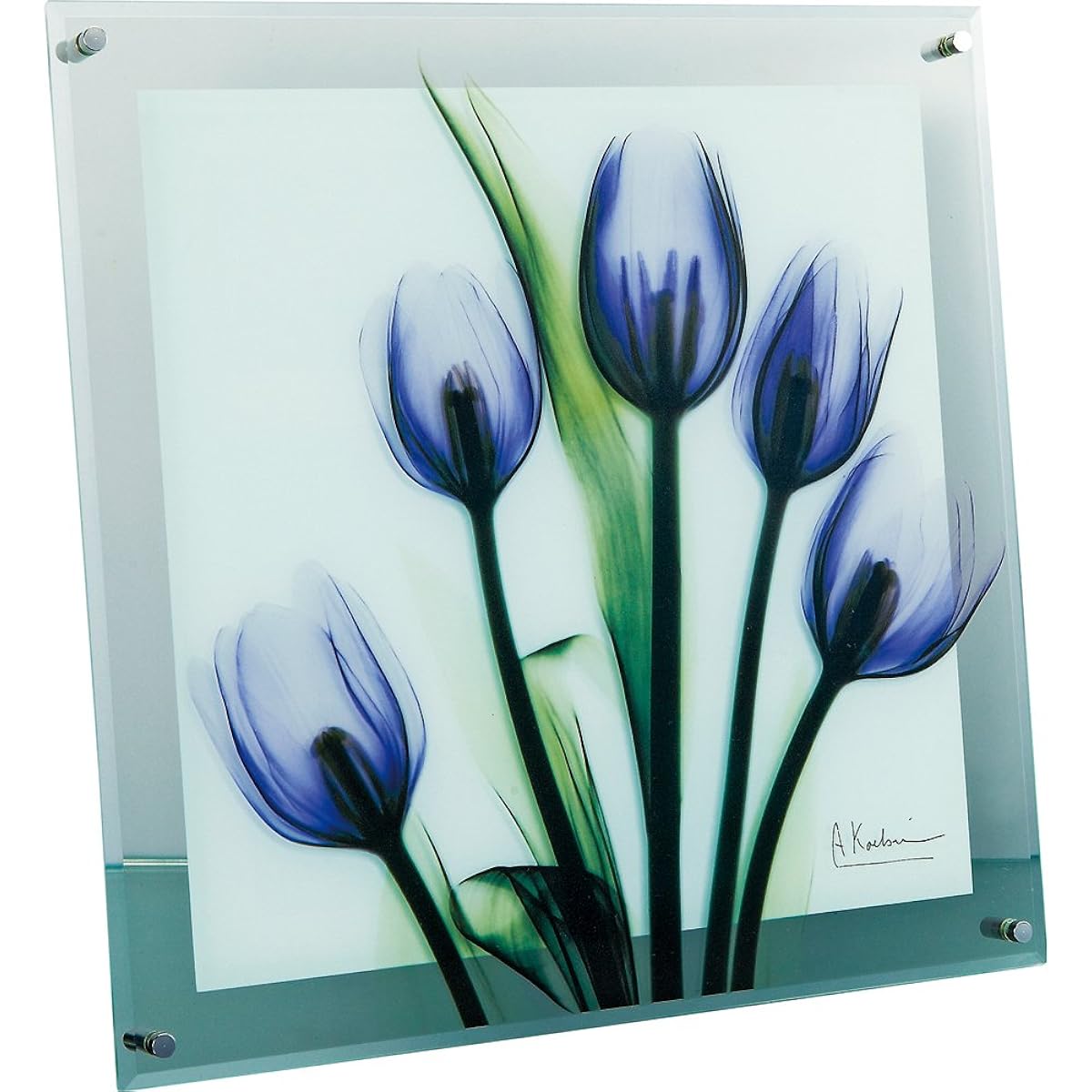 U-Power Plants/Flowers Purple W36 x H36 x D2cm