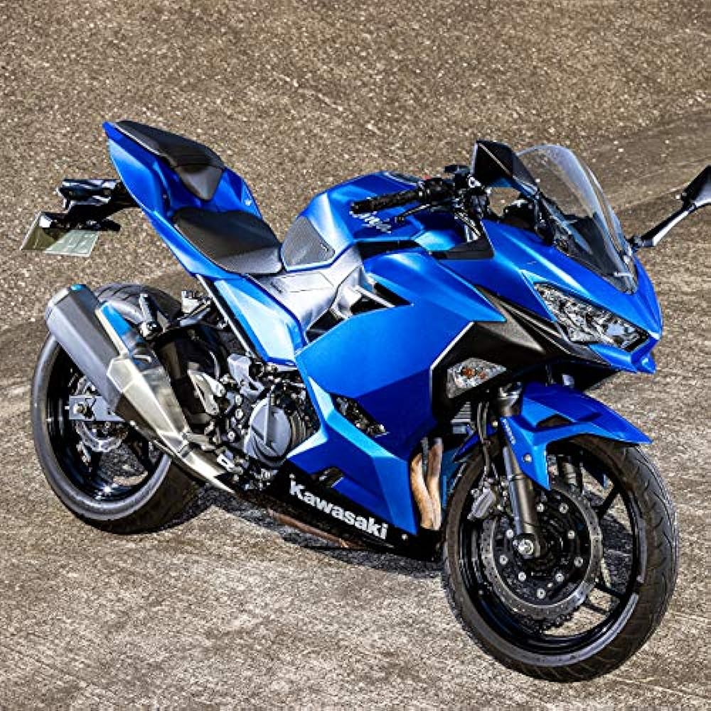 TEOGONIA GOLEM CONVEX TANKPAD For Ninja 250/Ninja 400 (Convex tank pad)