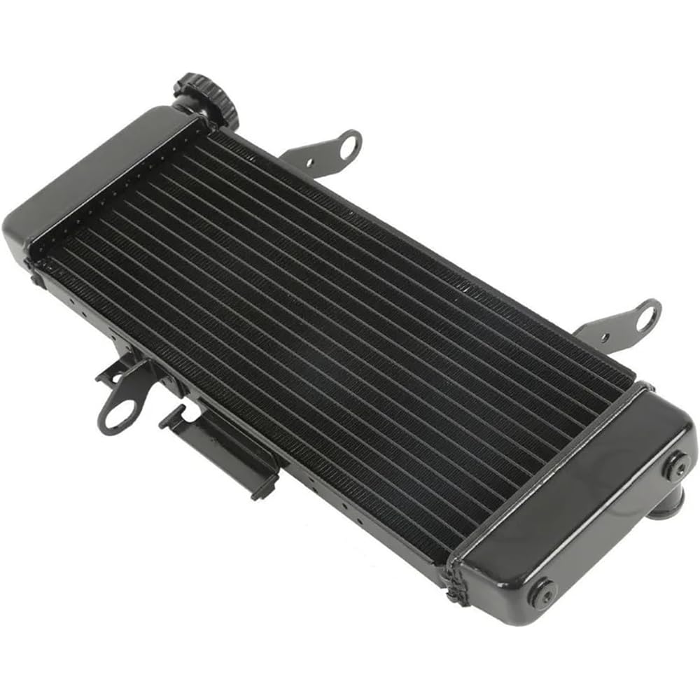 S/UZU-KI SV650 SV 650 2003-2004 03 04 Auto Vial Mirage Eater Cooler