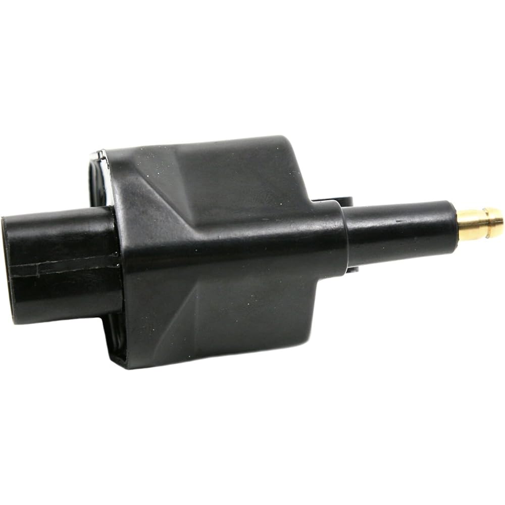 Delphi GN10172 Ignition Coil
