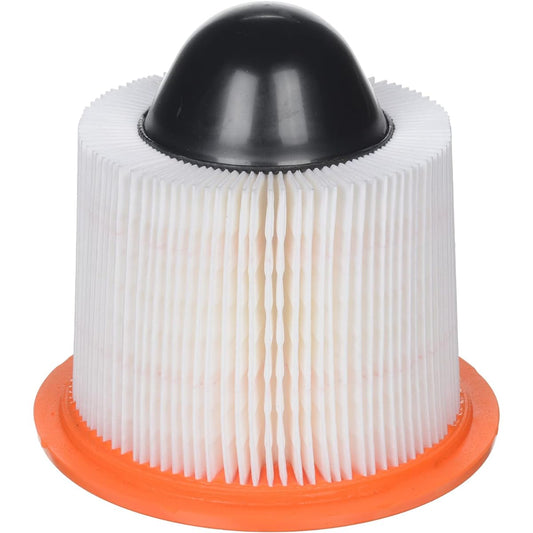 Fram Group CA8039Air Filter-Air Filter (Parallel Import)