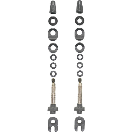 Set of 2 MAVIC UST tubeless valve tubeless [parallel import goods]