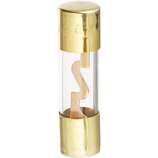 Absolute AGU100 AGC Gold Standard glass fuse 100 amp 12 bolt coscase access 5 packs