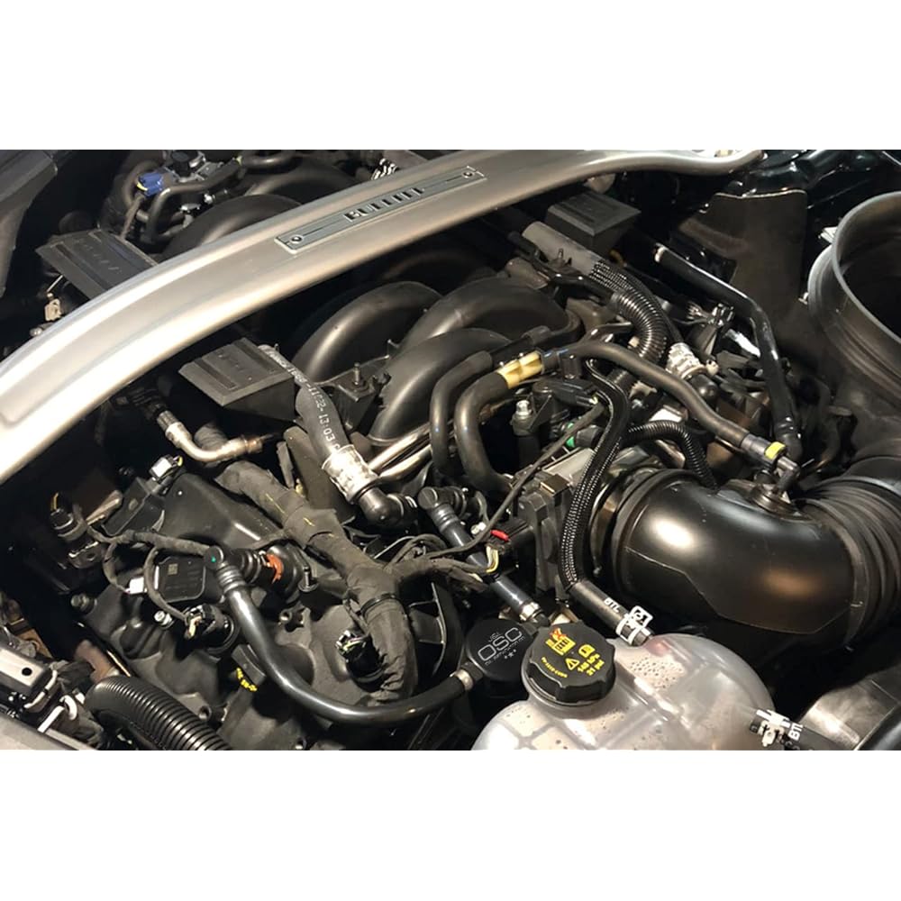 JLT passenger side oil separator 3024P-b 2018-2019 Mustang GT 5.0 Black Eye oxidation